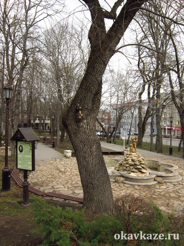 Лермонтовская липа в наши дни