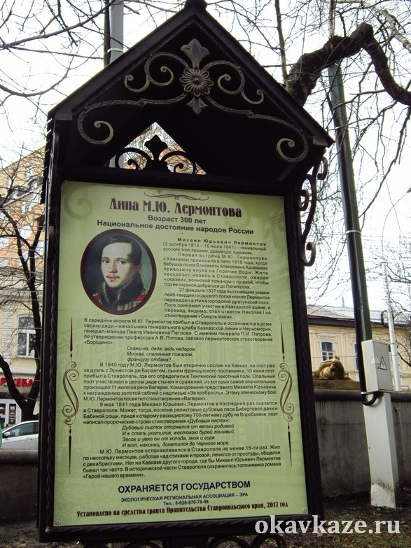 Лермонтовская липа в старину