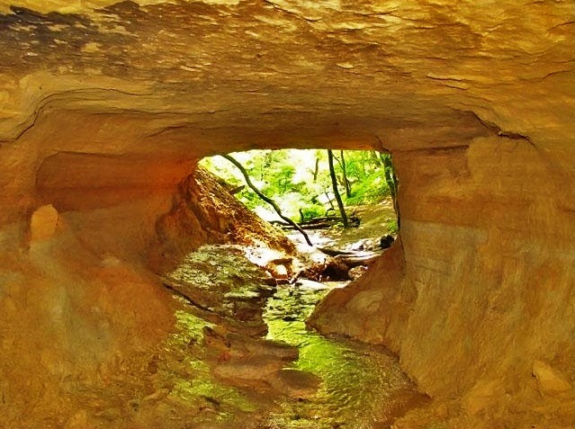 Natural Monument 